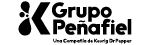 grupo peñafiel